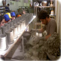 La Produzione di Prodotti in Ceramica