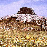 Burial Mounds and Specchie in Apulia