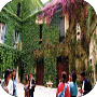 The Courtyards "Barocche" - Italian Language Schools